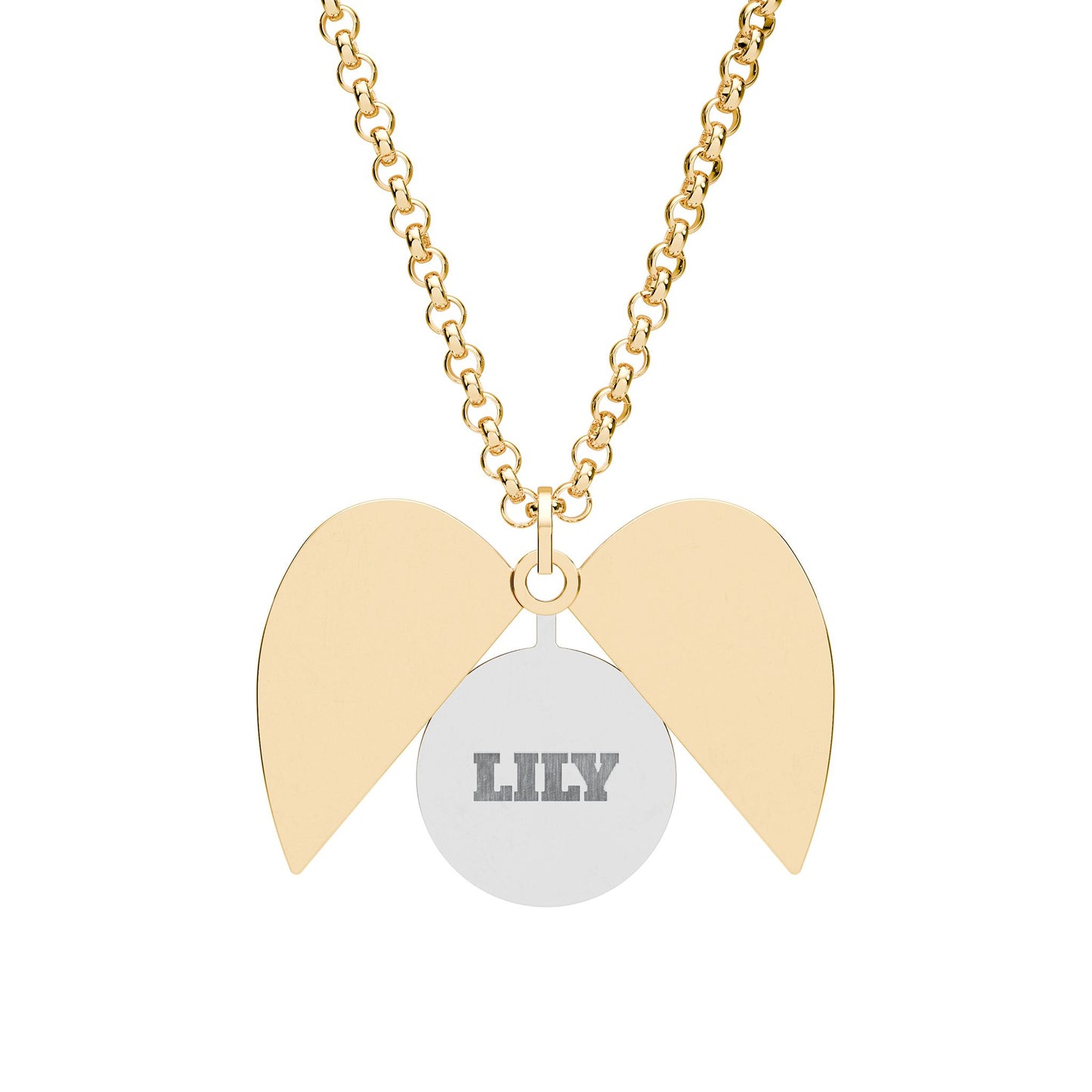 Hidden Message Heart Necklace – LILY